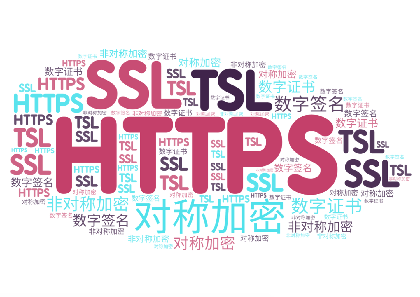 HTTPS加密技術(shù).png
